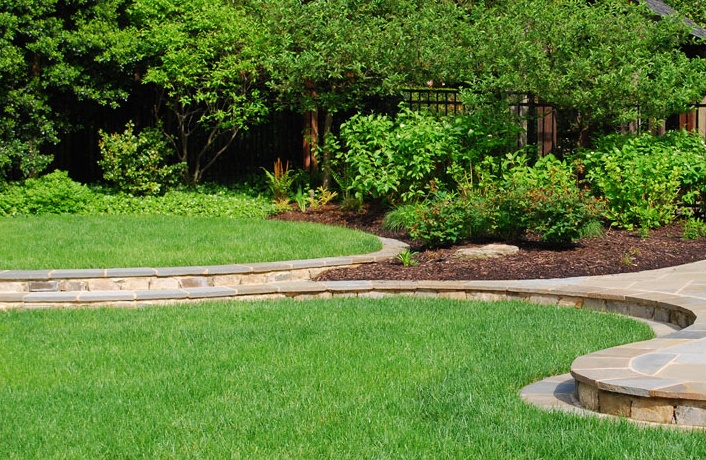 New lawn in the landscape after Fescue sod installed